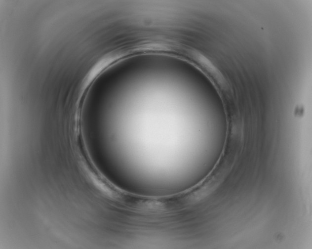 X0000092011370200709061523