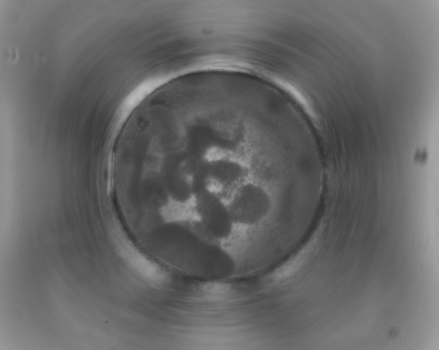 X0000092011371200709061523