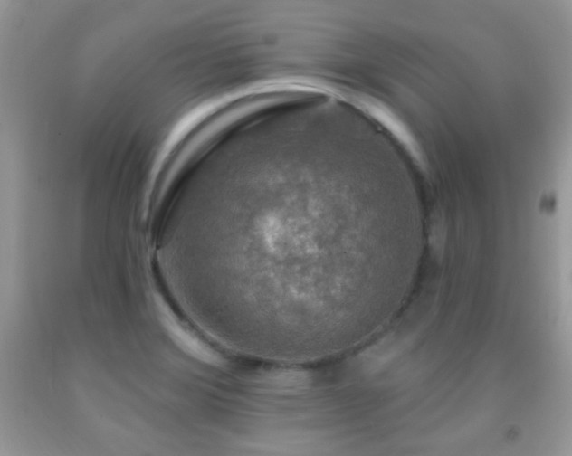 X0000092011372200709061523