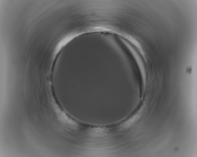 X0000092011373200709061523