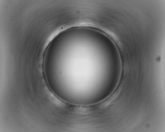 X0000092011374200709061523