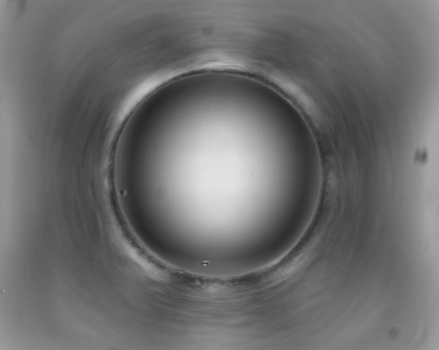 X0000092011375200709061523