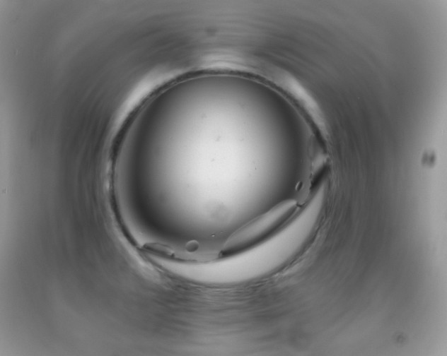 X0000092011376200709061523