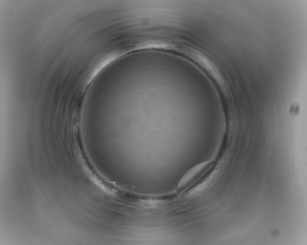 X0000092011377200709061523