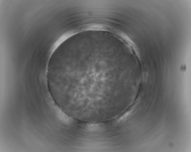 X0000092011378200709061523