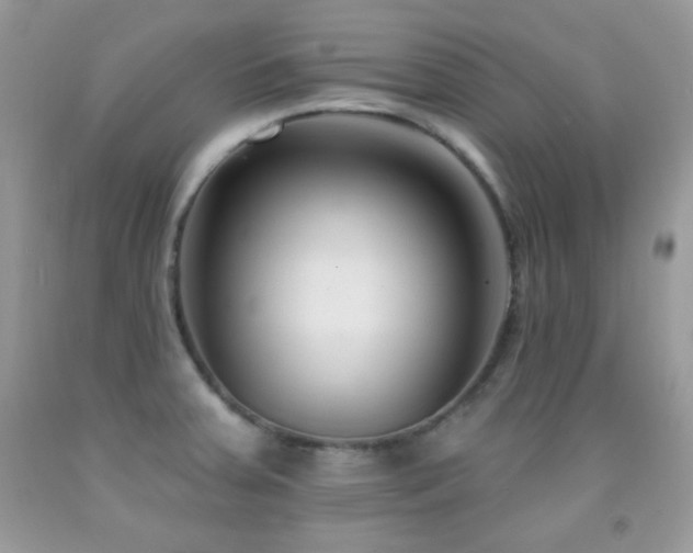 X0000092011379200709061523