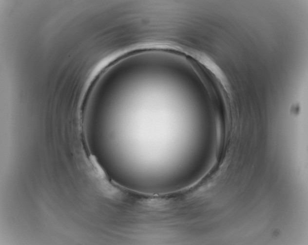 X0000092011380200709061523