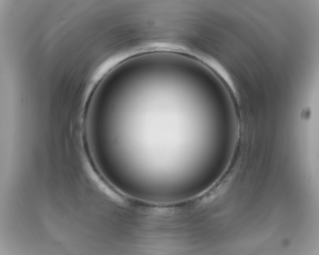 X0000092011381200709061523