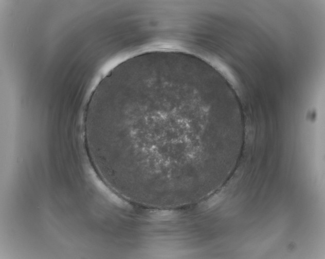 X0000092011382200709061523