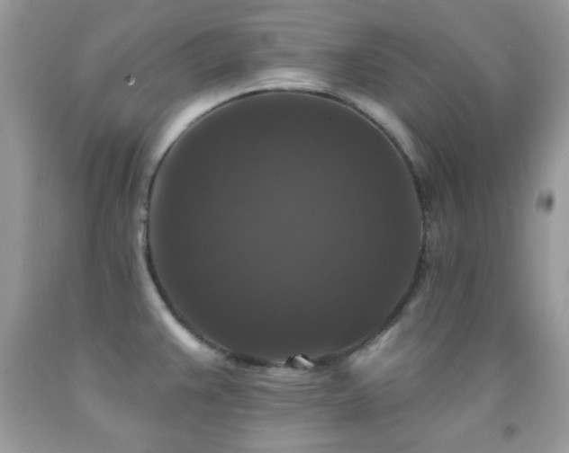X0000092011383200709061523