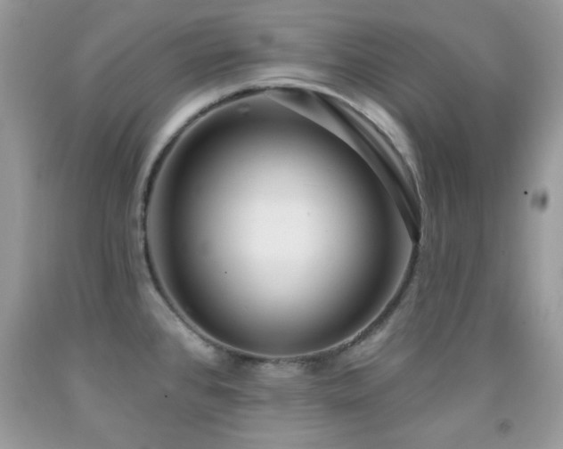 X0000092011384200709061523