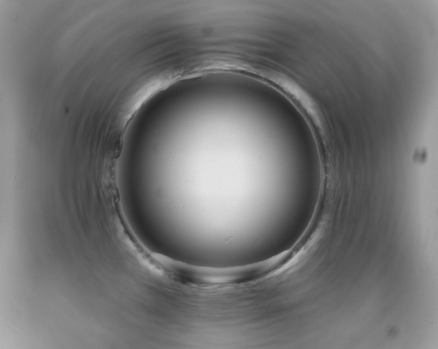X0000092011385200709061523