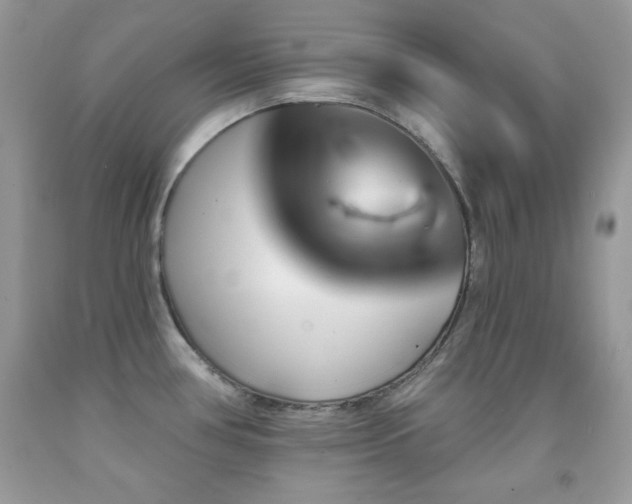 X0000092011386200709061523