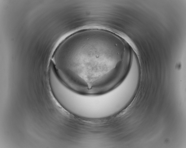 X0000092011388200709061523