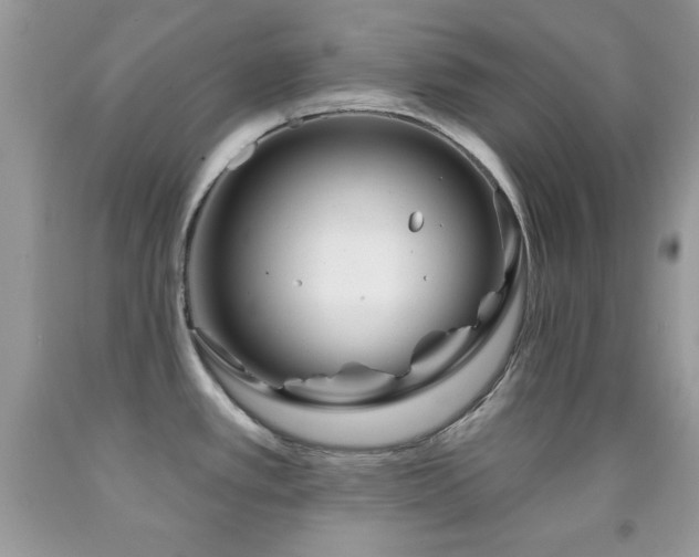 X0000092011389200709061523