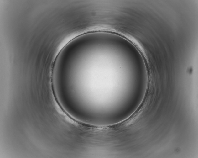 X0000092011390200709061523