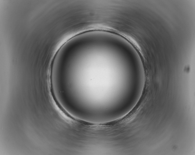X0000092011391200709061523