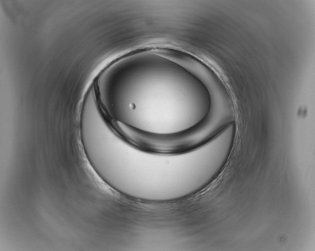 X0000092011392200709061523