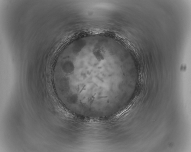 X0000092011393200709061523