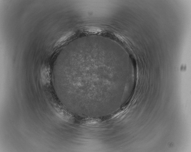 X0000092011394200709061523