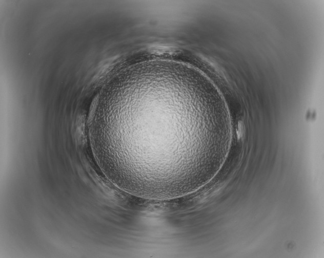 X0000092011396200709061523