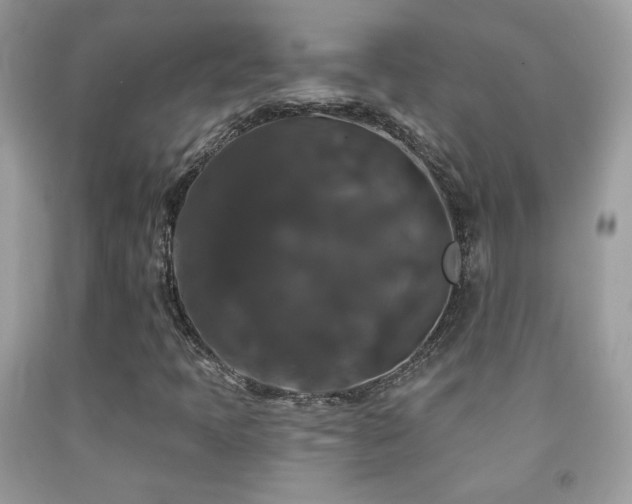 X0000092011397200709061523