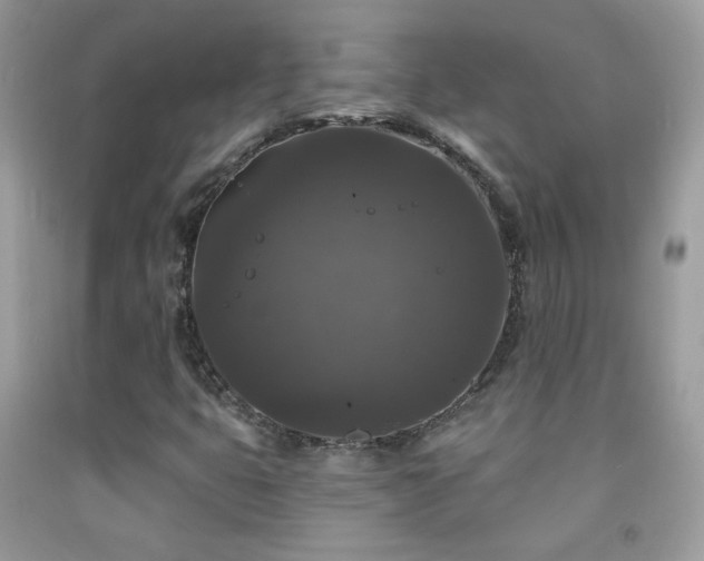 X0000092011399200709061523