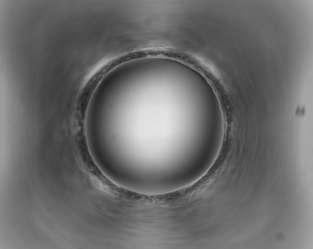 X0000092011400200709061523