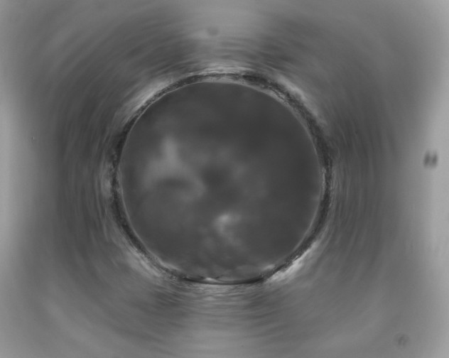 X0000092011401200709061523