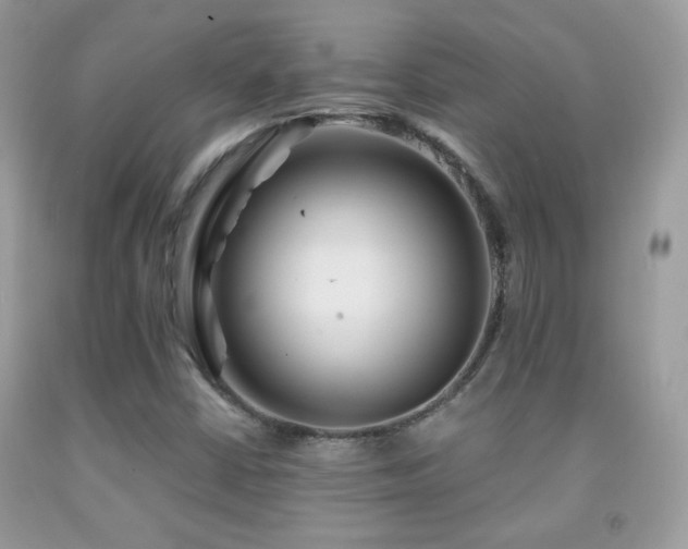 X0000092011402200709061523