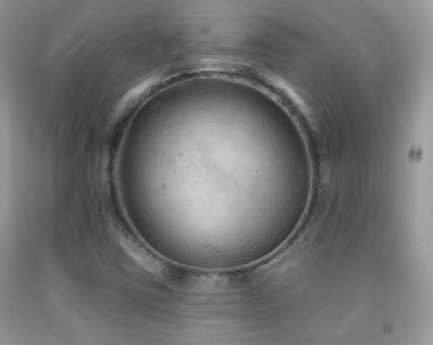 X0000092011403200709061523