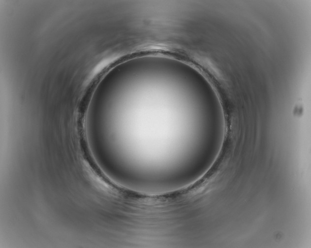 X0000092011404200709061523