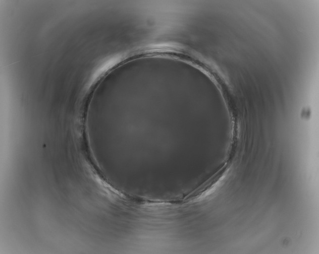 X0000092011405200709061523