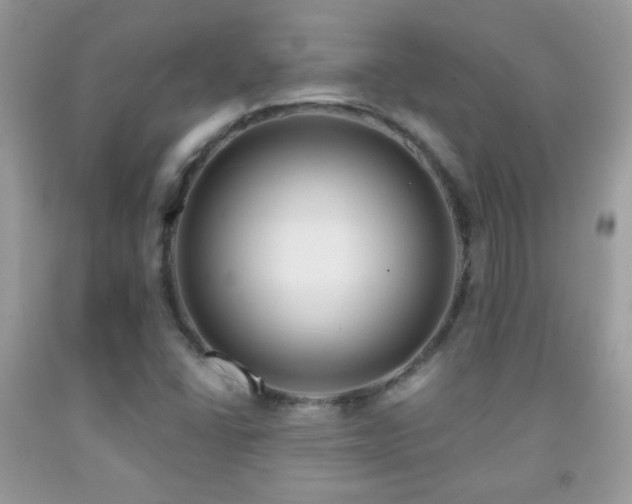 X0000092011406200709061523