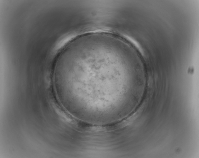 X0000092011407200709061523