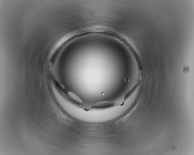 X0000092011410200709061523