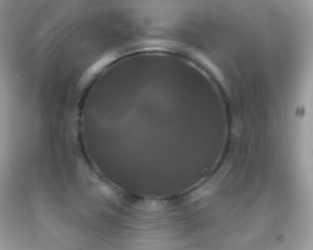 X0000092011411200709061523