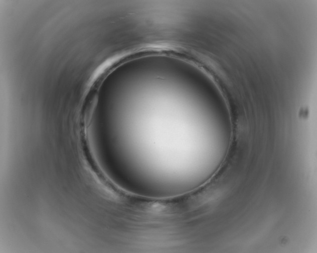 X0000092011412200709061523