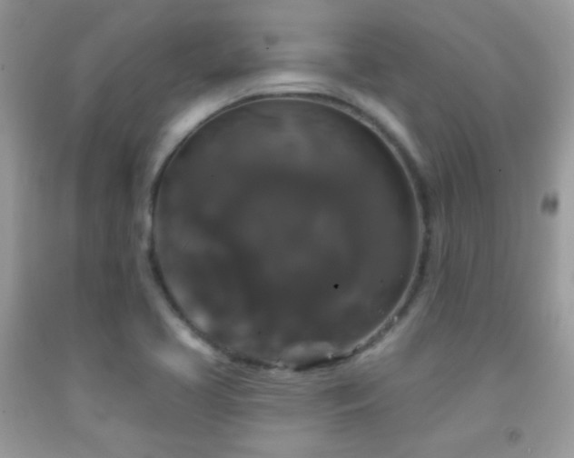 X0000092011413200709061523
