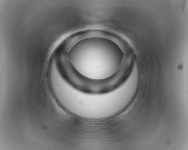 X0000092011414200709061523