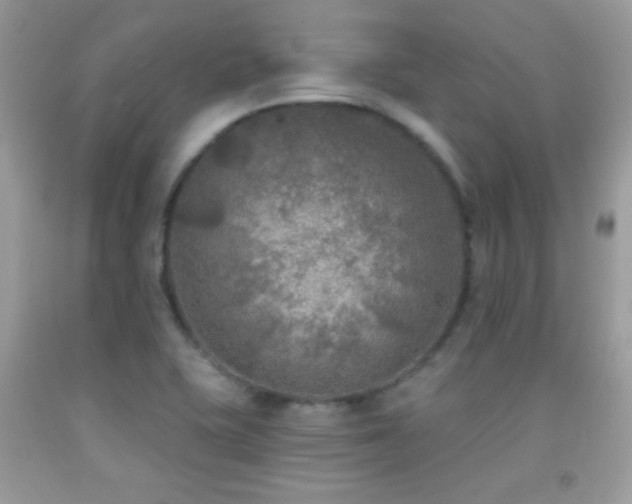 X0000092011415200709061523