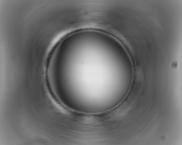 X0000092011416200709061523