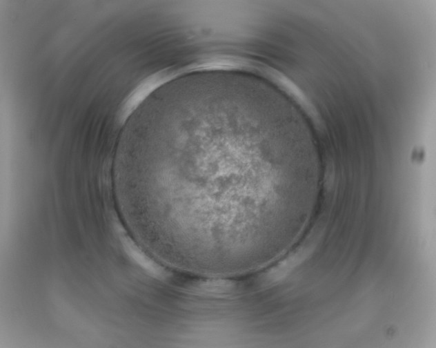 X0000092011417200709061523