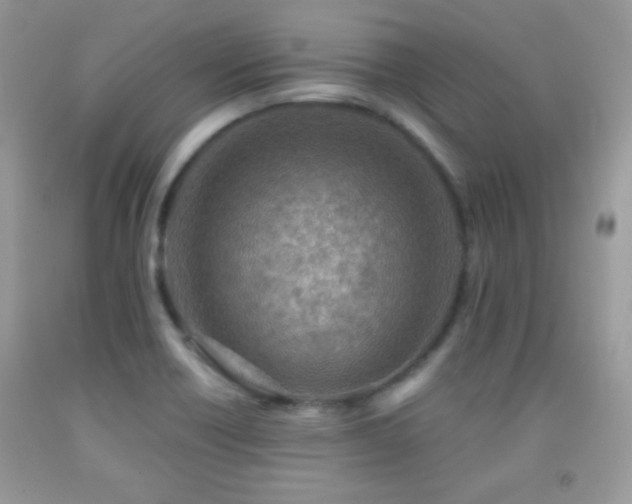 X0000092011418200709061523