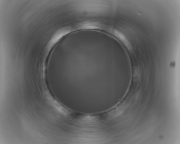 X0000092011419200709061523