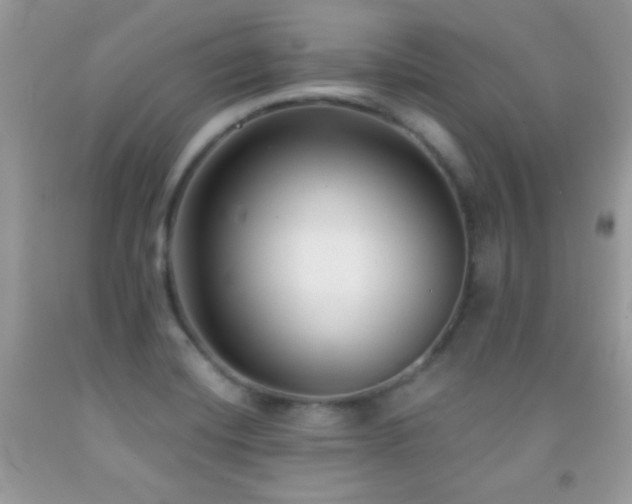 X0000092011420200709061523