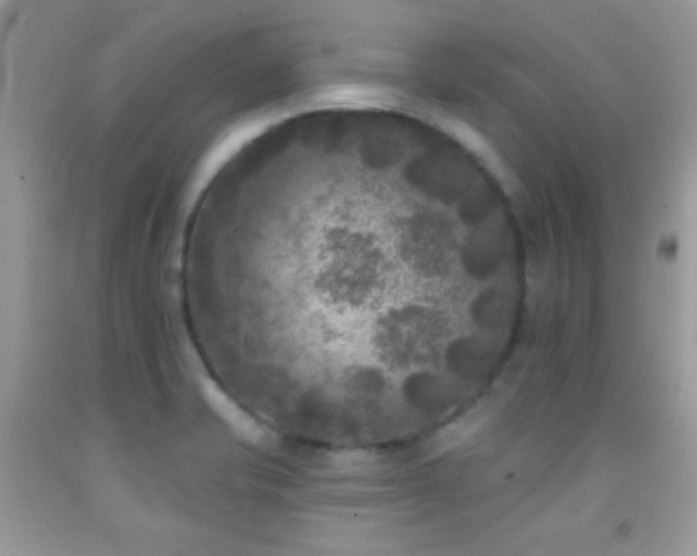 X0000092011421200709061523