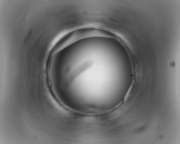 X0000092011422200709061523