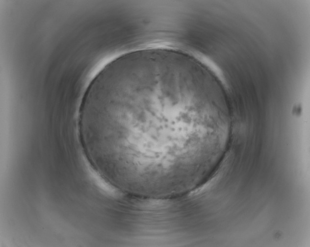 X0000092011423200709061523
