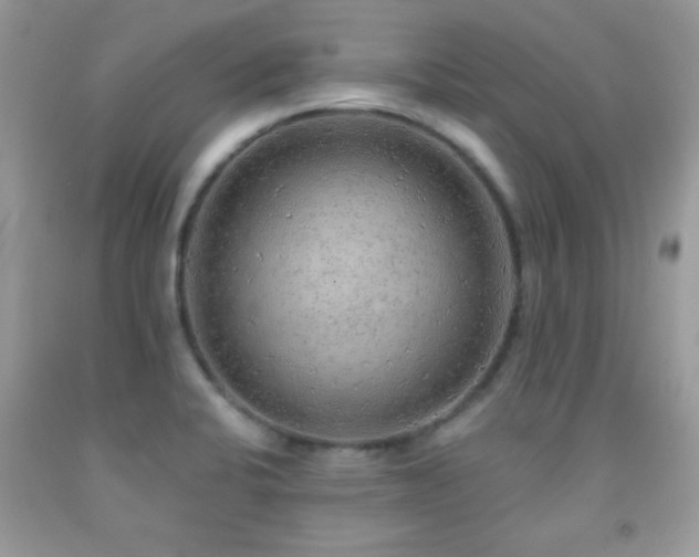X0000092011424200709061523